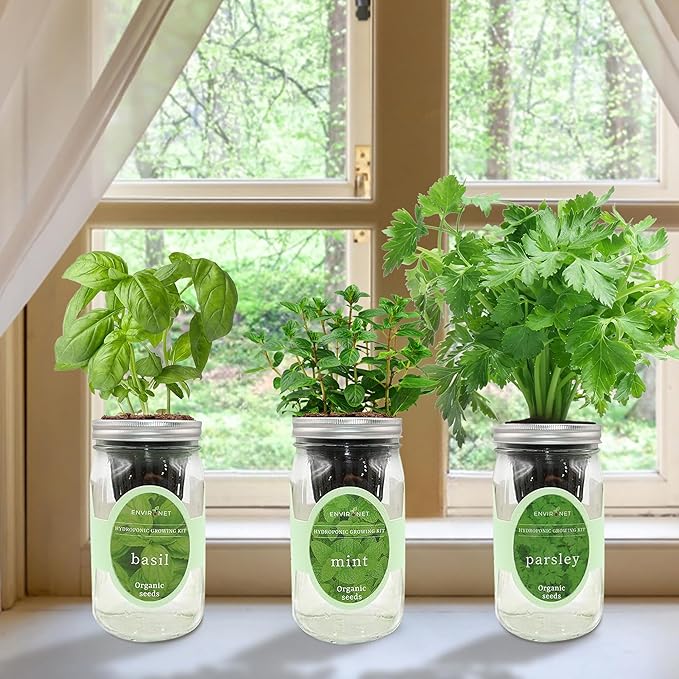 Hydroponic Herb Growing Kit Set, Self-Watering Mason Jar Herb Garden Starter - Image 2