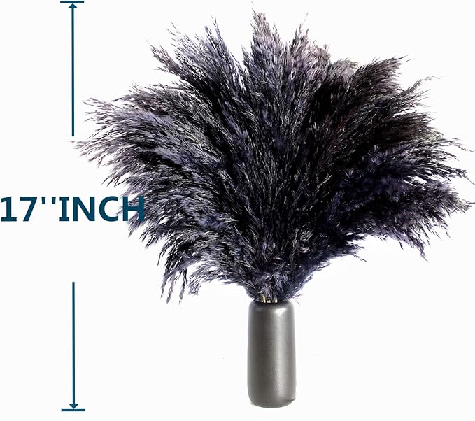 Black Pampas Grass for Home Decor - Image 4