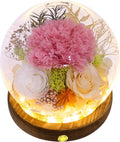 Valley of Rain & Forest Long-Lasting Real Flowers, Unique Floral Gift by ValleyofRainForest