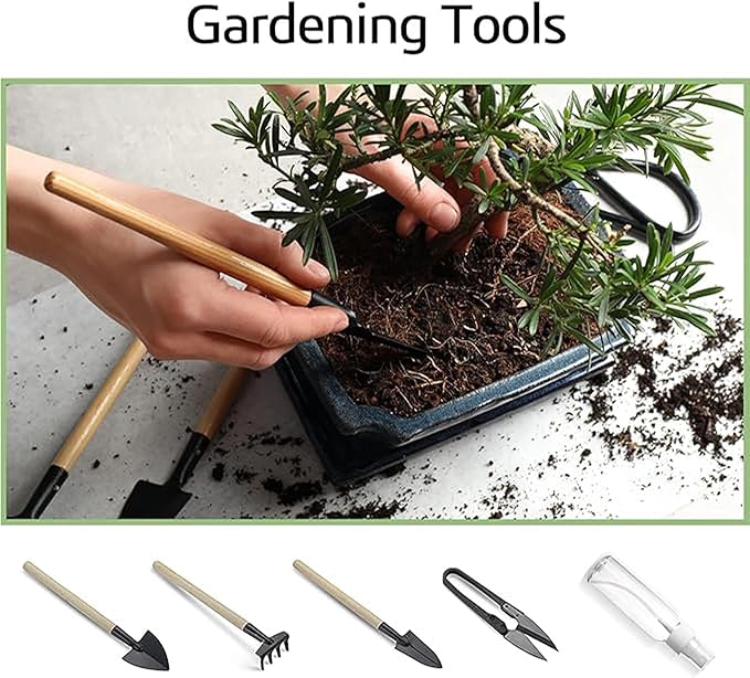 Bonsai Garden Starter Kit, 4 Seeds Growing into Sakura, Including Complete - Image 7