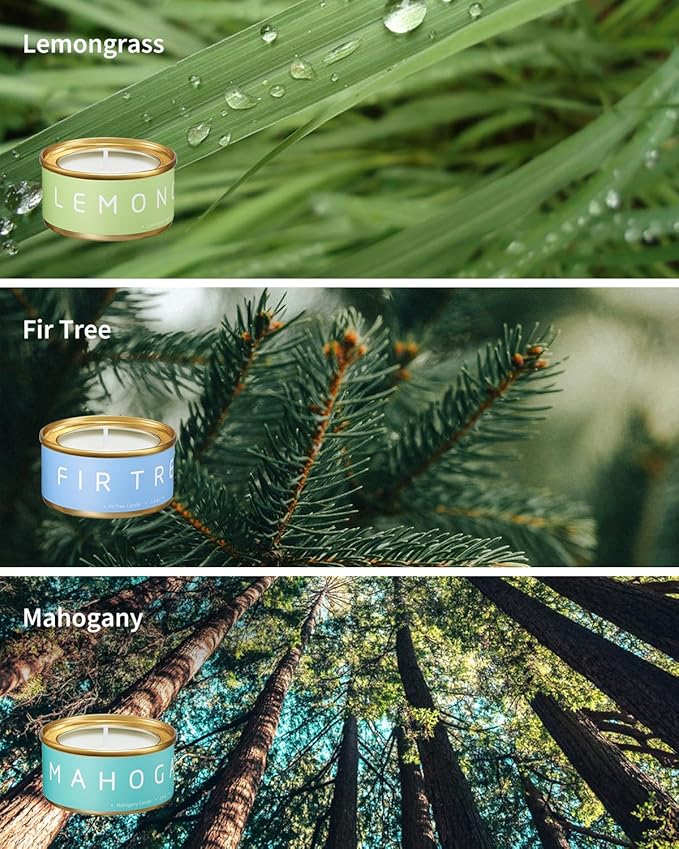 VTS Fall Candles Set, 6 Pack Aromatherapy Candles, Candle Gifts - Image 4