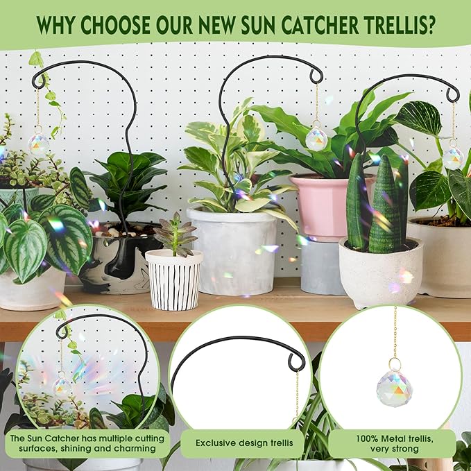 Plant Trellis for Potted Plants - Image 3