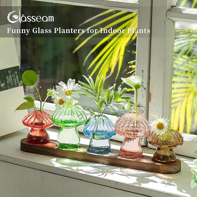 Glasseam Mushroom Plant Propagation Stations: Glass Terrarium Jars - Image 3