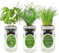 Hydroponic Herb Growing Kit Set, Self-Watering Mason Jar Herb Garden Starter by Environet