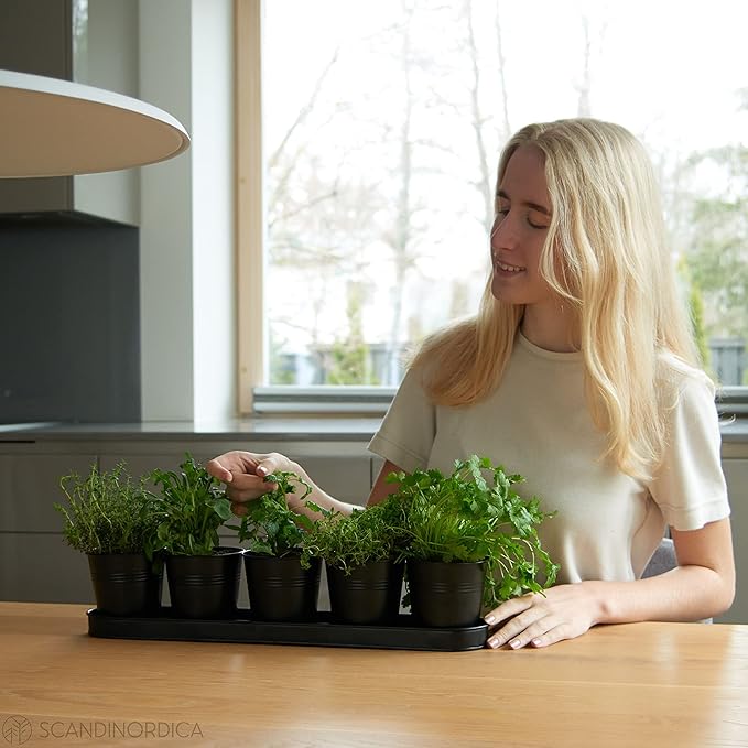 SCANDINORDICA Black Herb Planter – 5 Pots - Image 2