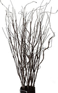 10PCS Lifelike Curly Willow Branches Decorative Dried Artificial Twigs by FeiLix