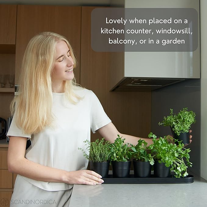 SCANDINORDICA Black Herb Planter – 5 Pots - Image 5