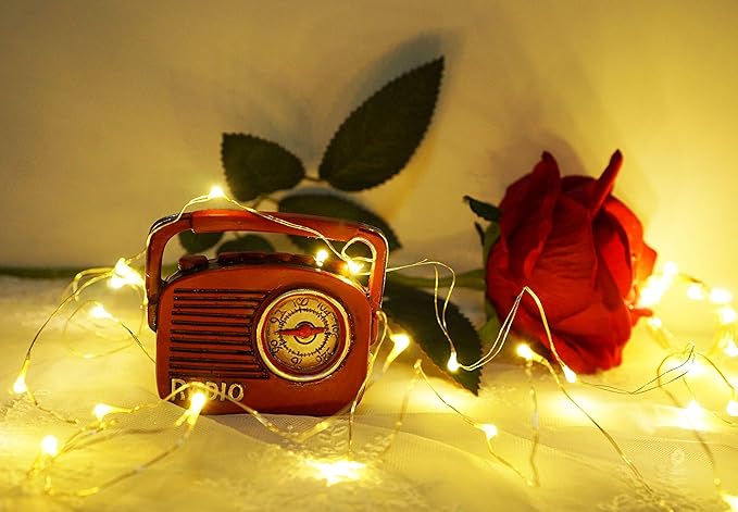 Wine Bottle Lights with Cork, 12 Pack Battery Operated 12 LED Cork Shape Silver - Image 2