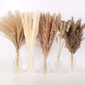 N&T NETING 75Pcs Pampas Grass Decor-10Pcs White Pampas Grass by NTNIETING