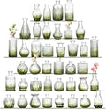Bud Vases Set of 40 Pcs, Small Flower Vases by Paudao