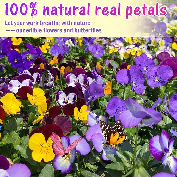80 Pcs 8 Kinds Natural Real Dried Pressed Edible Flowers & Edible Butterflies - Image 5