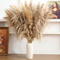 46" inch 11 Stems Natural Pampas Grass Tall Decor, Pompas Grass, Large Borwn by HUATEMEI