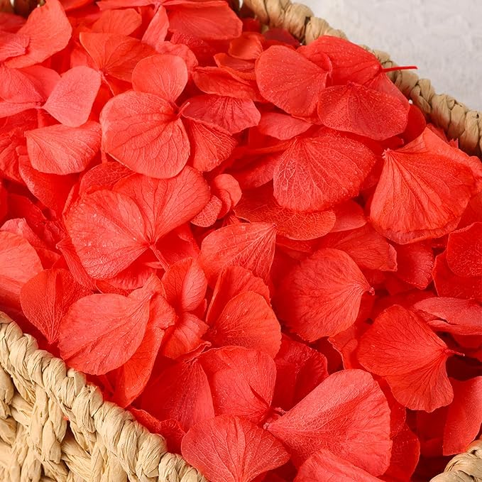 2500 PCS Red Hydrangea Petals 100% Natural Real Flower Petals by VAIPI