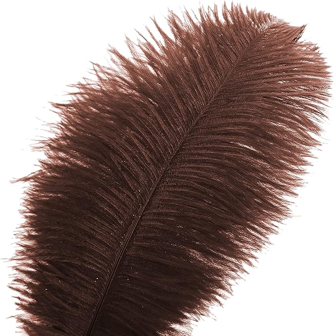 Ballinger Brown Big Ostrich Feathers - Image 2