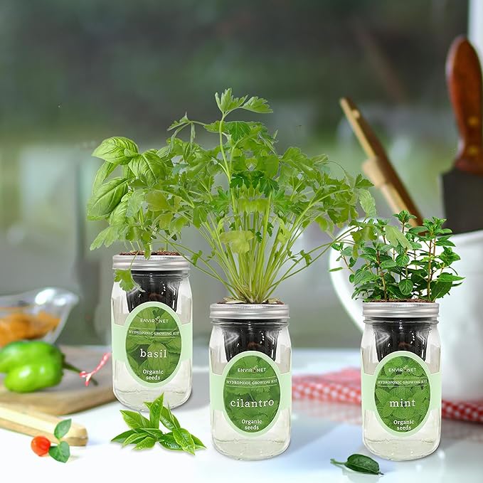 Hydroponic Herb Growing Kit Set, Self-Watering Mason Jar Herb Garden Starter - Image 5