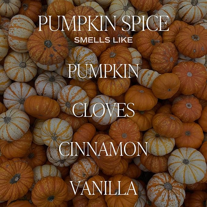 Sweet Water Decor Pumpkin Spice Candle - Image 2