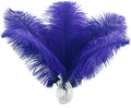 Ballinger Royal Blue Ostrich Feathers by Ballinger