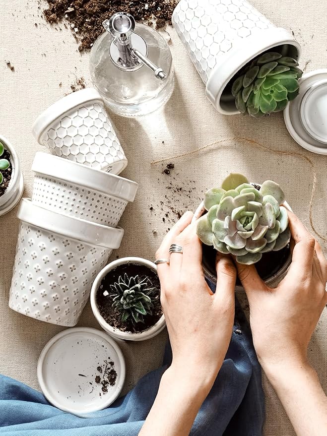 LE TAUCI 3 Inch Mini Succulent Pots - Image 7