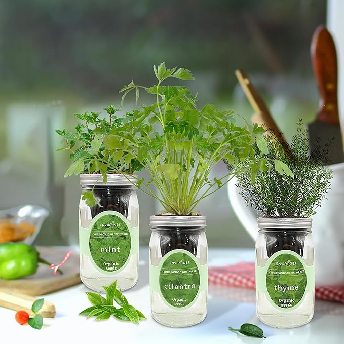 Hydroponic Growing Kit Set, Self-Watering Mason Jar Herb Garden Starter Kit - Image 5