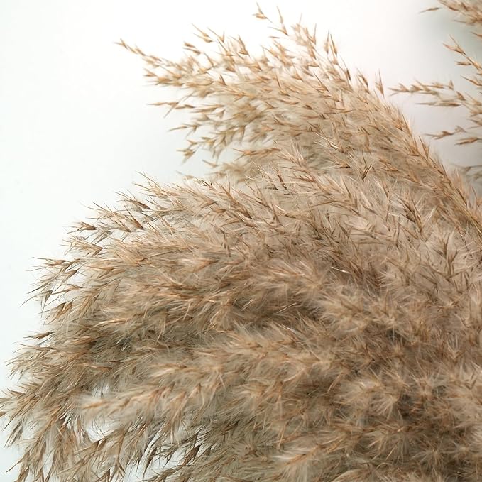 30-inch Tall Nature Pampas Grass Bouquet Decor - Image 5