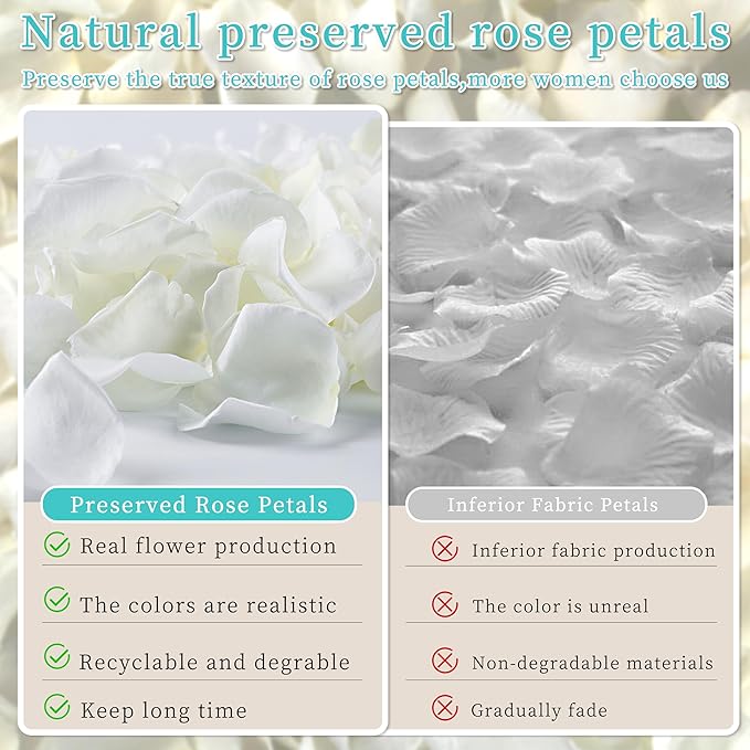 Real Ivory Rose Petals, Frozen Preserved Petals for, Wedding Party Decorations - Image 3