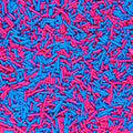 Edible Pink and Blue Sprinkles, Jimmy Sprinkles, Gender Reveal Sprinkles Candy by Milovin