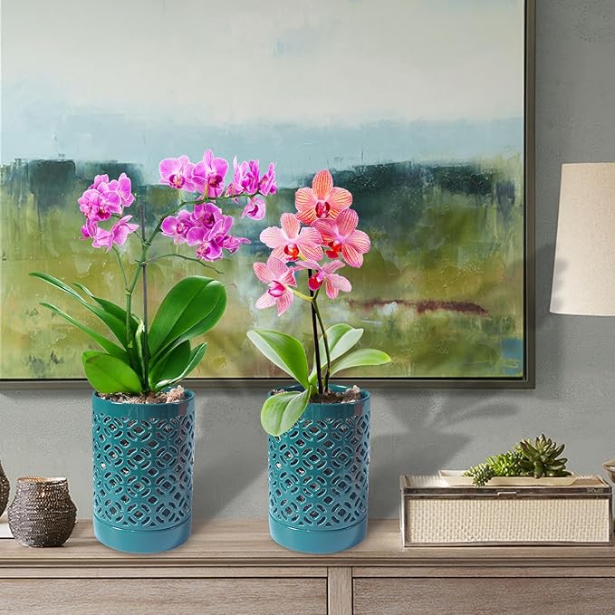 Orchid Pot 4 Inch, Orchid Pots - Image 4