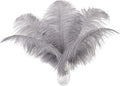 Ballinger Natural Gray Ostrich Feathers by Ballinger