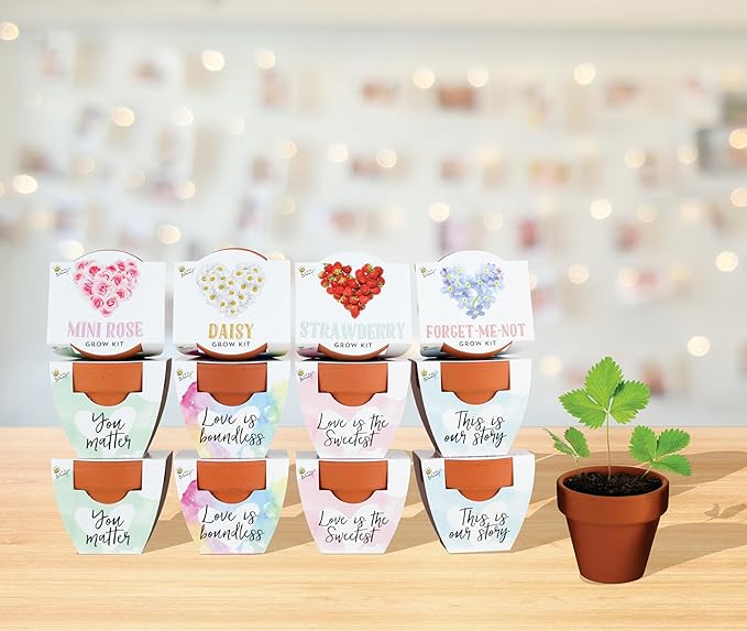 BUZZY Seeds Terracotta Mini Grow Pots Flower Plant Starter Kit – Love - Image 6