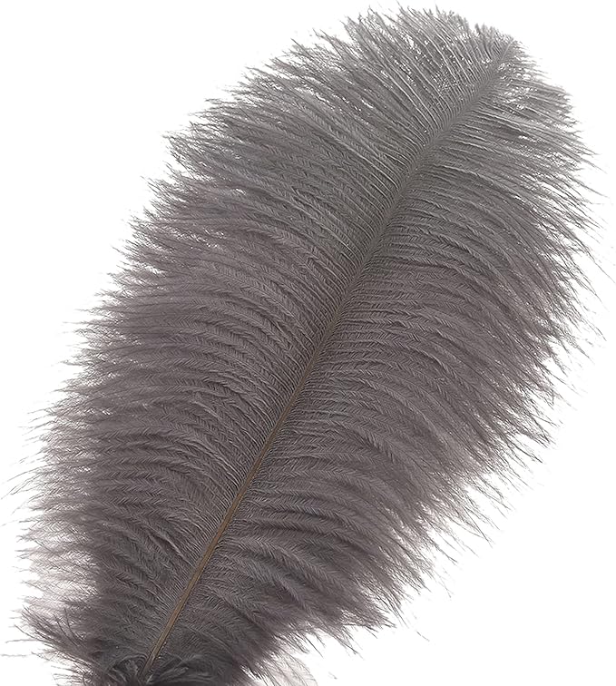 Ballinger Natural Gray Ostrich Feathers - Image 2