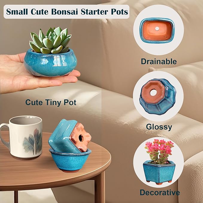 MUZHI 6PACK Glazed Bonsai Pot Planter 3" 4” Small Succulent Pots, Yixing Zisha - Image 2