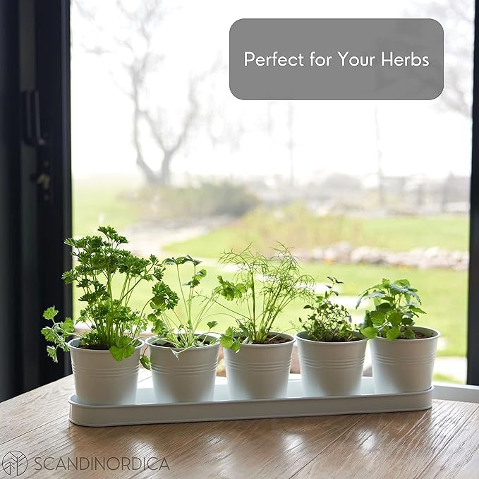 SCANDINORDICA White Herb Planter 5 Pots - Image 6