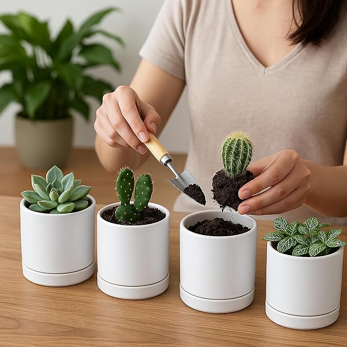 D'vine Dev Set of 4 Small Ceramic Plant Pots, 3.5 Inch Succulent Planter Pot - Image 3