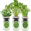 Hydroponic Herb Growing Kit Set, Self-Watering Mason Jar Herb Garden Starter by Environet