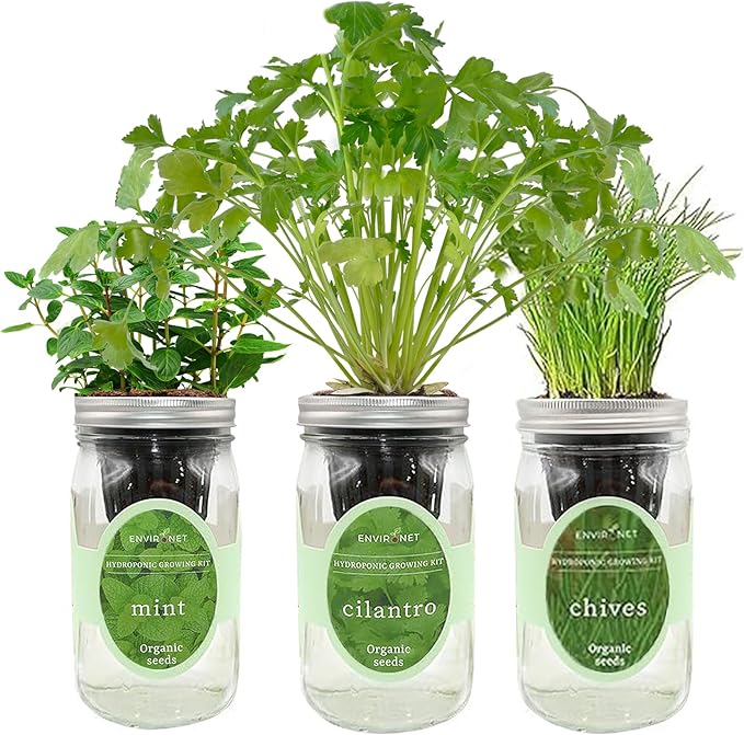Hydroponic Herb Growing Kit Set, Self-Watering Mason Jar Herb Garden Starter by Environet