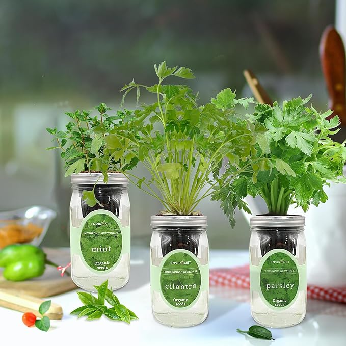 Hydroponic Herb Growing Kit Set, Self-Watering Mason Jar Herb Garden Starter - Image 5
