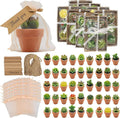 AZEAM 48 Pcs Succulent Candles Party Favors, Bulk Cactus Table Decor by AZEAM