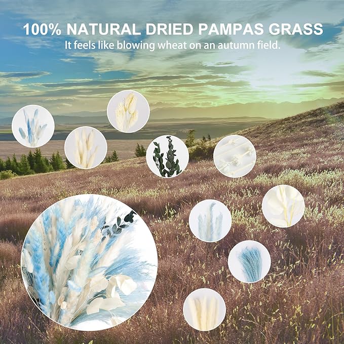 N&T NETING 101Pcs Blue Pampas Grass Decor Natural Dried Floral Pampas Grass - Image 3