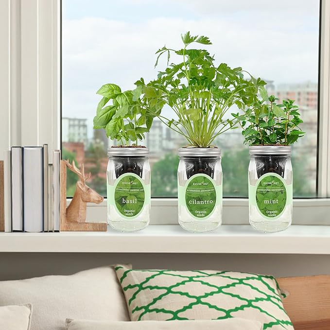Hydroponic Herb Growing Kit Set, Self-Watering Mason Jar Herb Garden Starter - Image 4