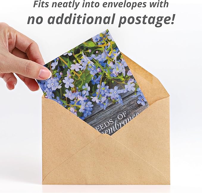 Bentley Seed Co. | Seeds of Remembrance | Pre Filled Non-GMO, Non-Coated Forget - Image 3