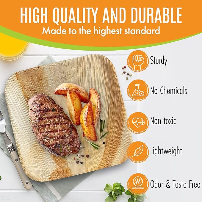 Raj Palm Leaf Plates Bulk 10" & 7" Square Plates like Bamboo plates Disposable - Image 5