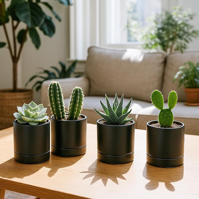 D'vine Dev Set of 4 Small Ceramic Plant Pots, 4.7 Inch Succulent Planter Pot - Image 2