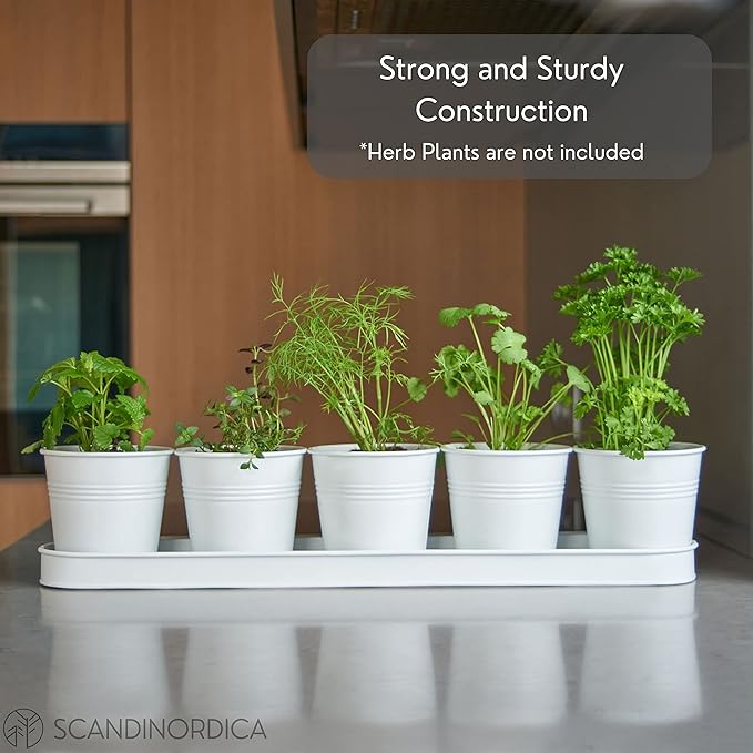 SCANDINORDICA White Herb Planter 5 Pots - Image 4