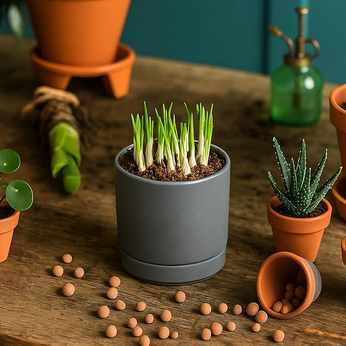 D'vine Dev Set of 4 Small Ceramic Plant Pots, 3.5 Inch Succulent Planter Pot - Image 5