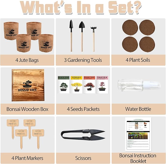 Bonsai Garden Starter Kit, 4 Seeds Growing into Sakura, Including Complete - Image 2