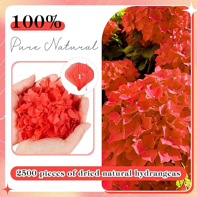 2500 PCS Red Hydrangea Petals 100% Natural Real Flower Petals - Image 2