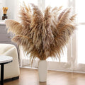 40" inch 11 Stems Natural Pampas Grass Tall Decor, Pompas Grass, Large Brown by HUATEMEI