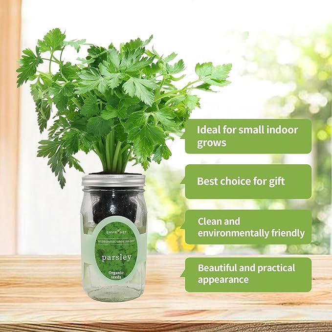 Hydroponic Herb Growing Kit, Self-Watering Mason Jar Herb Garden Starter Kit - Image 3