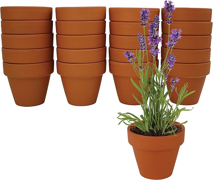 BUZZY Seeds Terracotta Mini Grow Pots | Herb, Flower Starter Kit - Image 2