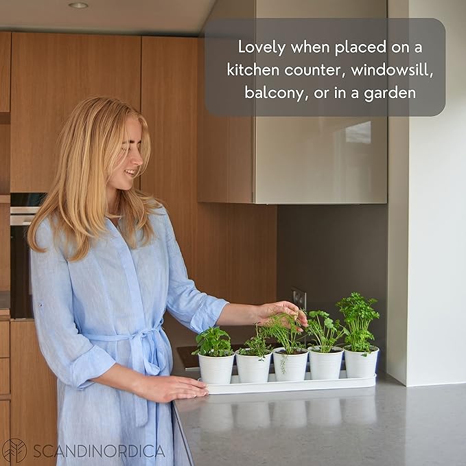 SCANDINORDICA White Herb Planter 5 Pots - Image 2